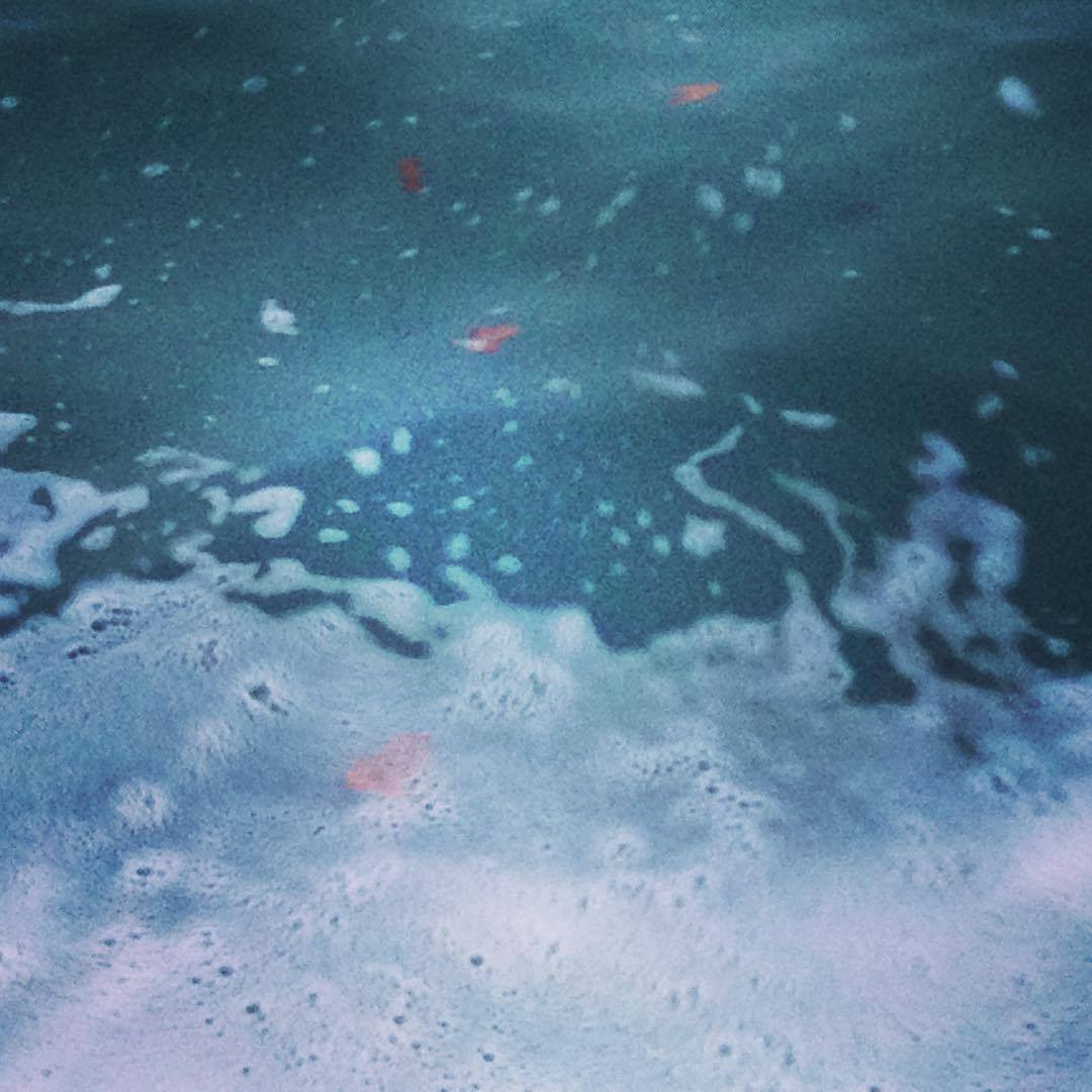 13582061_606888566136849_4939867817525929144_o