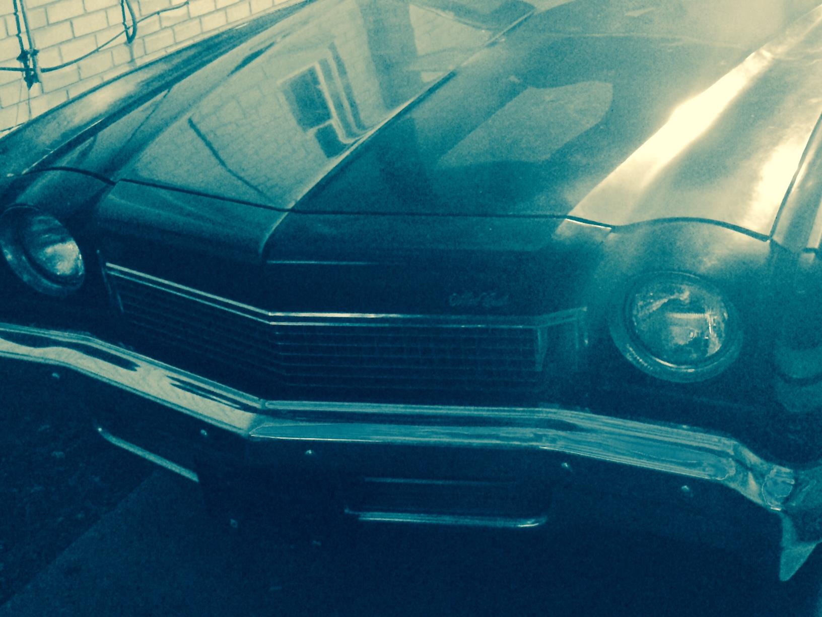 14424813_642429322582773_8768289900888054215_o