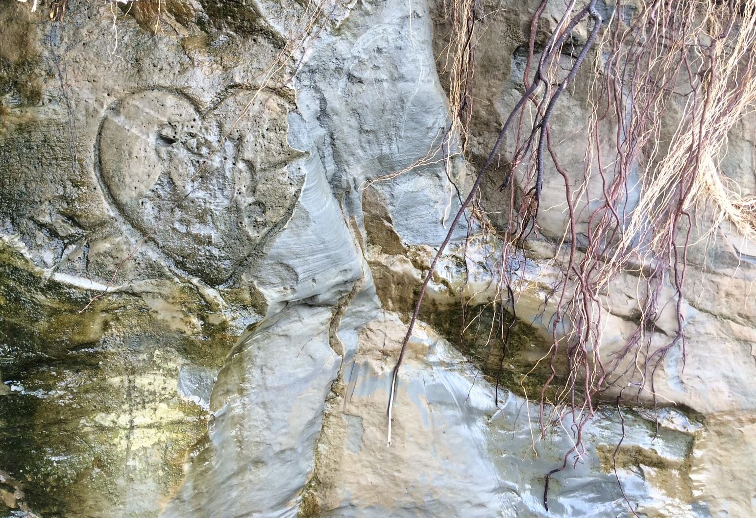 16403115_714034435422261_915779990642652833_o